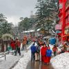 shimla