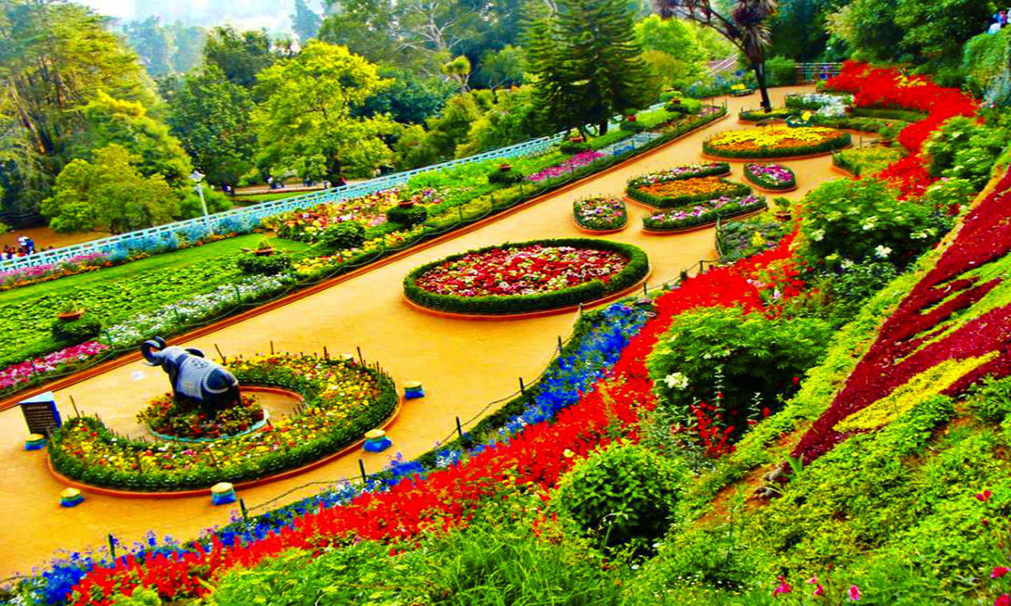 bangalore-mysore-ooty-coorg-tour-package-6-nights-7-days